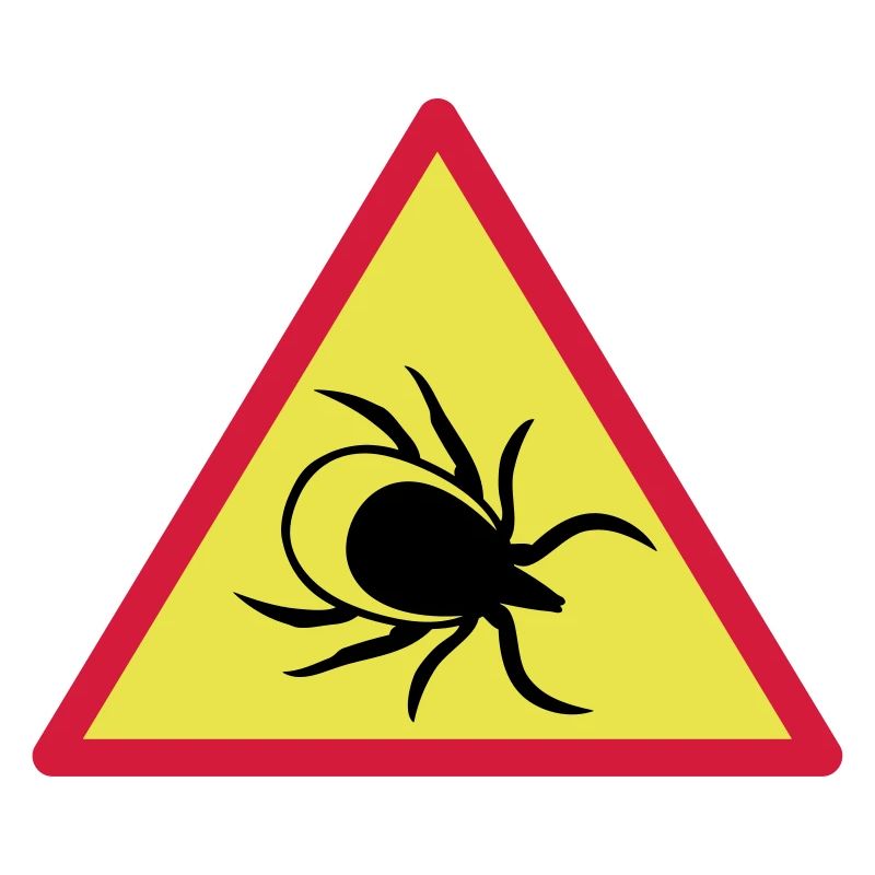 Attention ticks