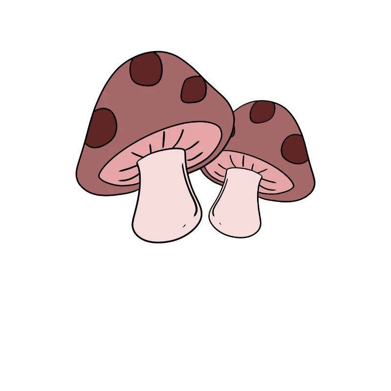 Champignons cueillette champignons