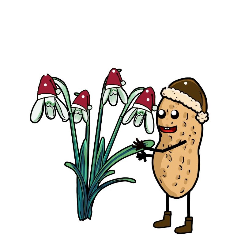 Peanut Spring Snow Garden Flowers Frost