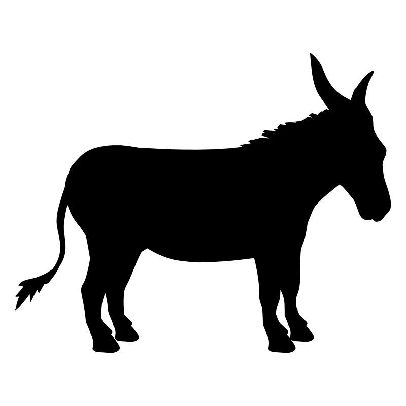 esel pferd pony klein packesel lange ohren bauernh