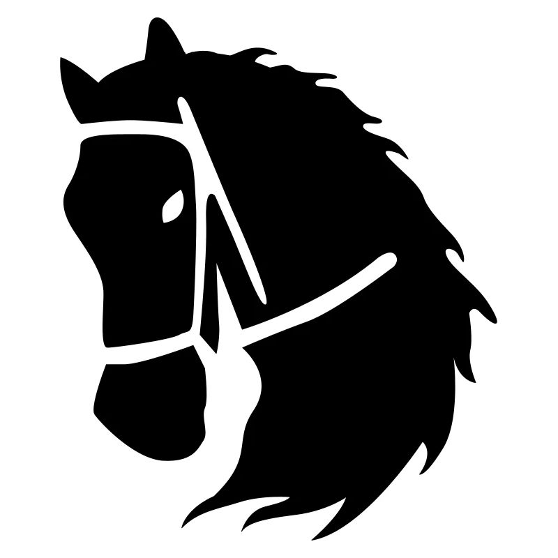 équitation