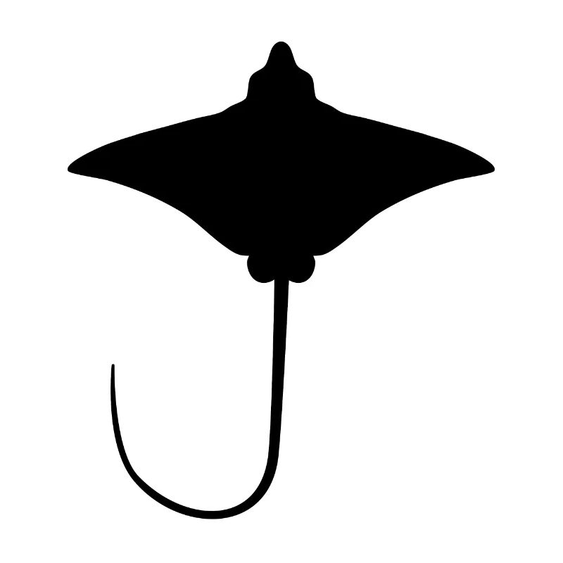 Ray – Flotteur élégant des mers