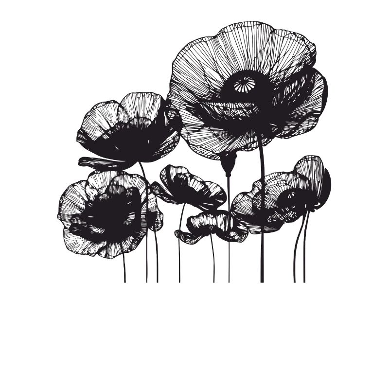 Mohnblumen Fleurs de pavot