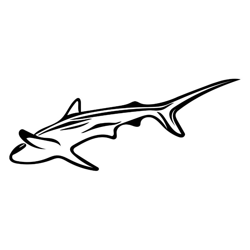 Requin élégant dans le courant de dérive