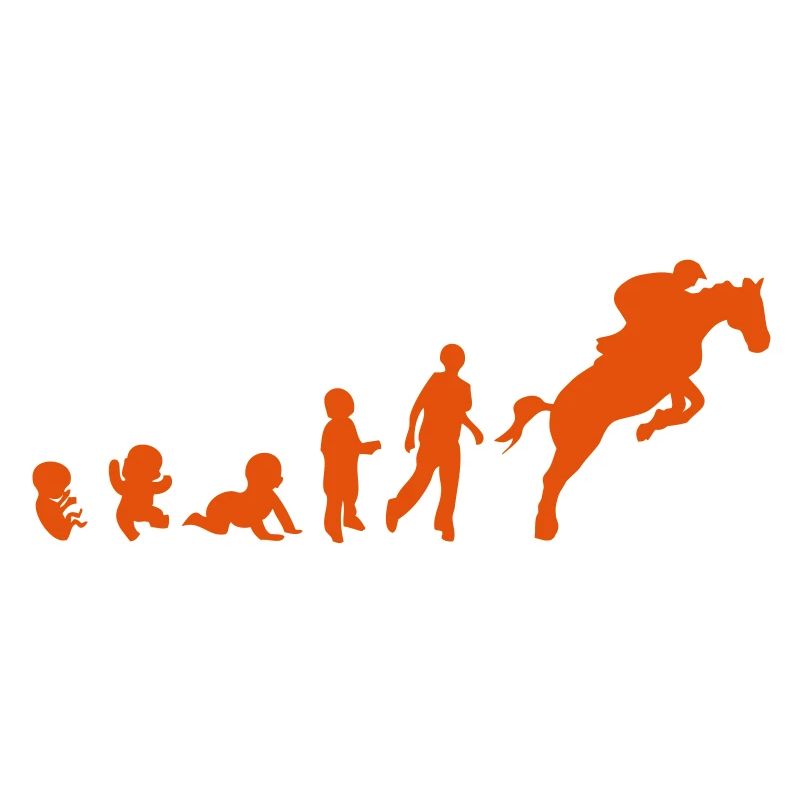 evolution equitation cheval9 obstacle sa
