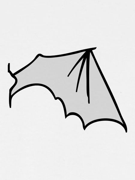 batwing_right