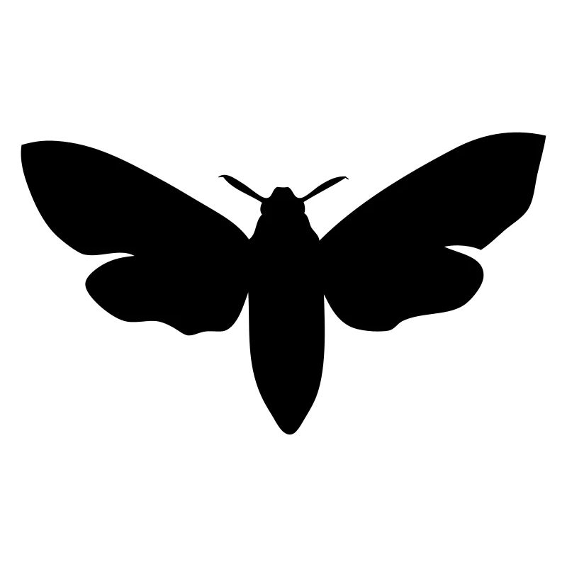 moth