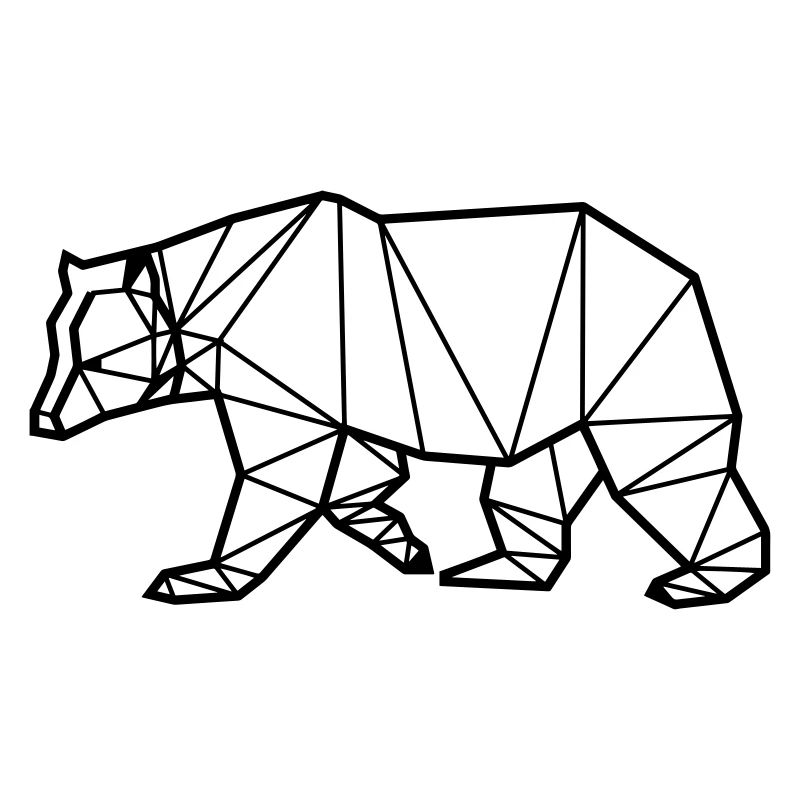 Black bear A/P