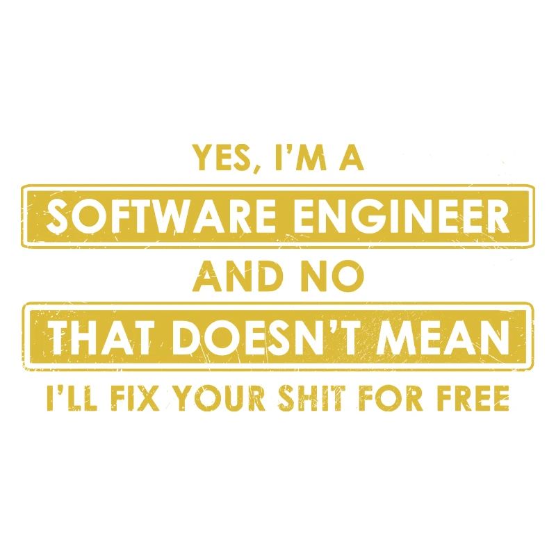 Software-Ingenieur