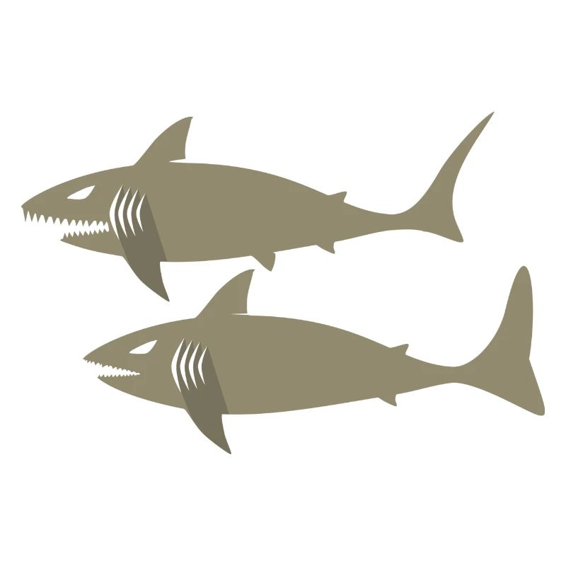 shark6