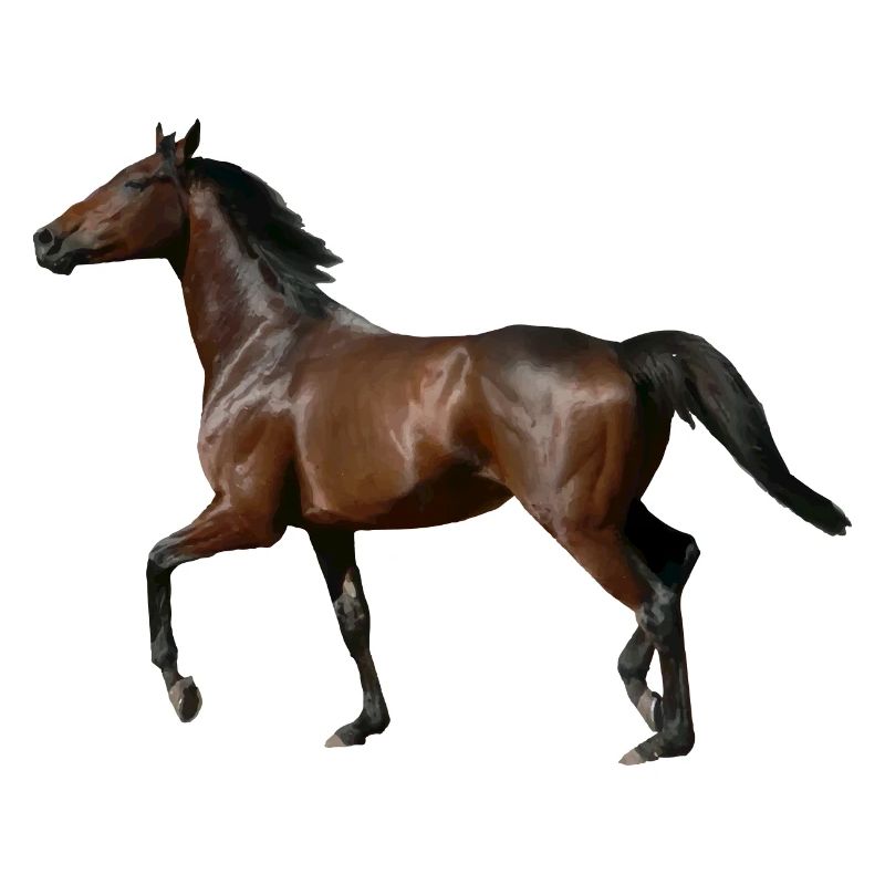 Pferd