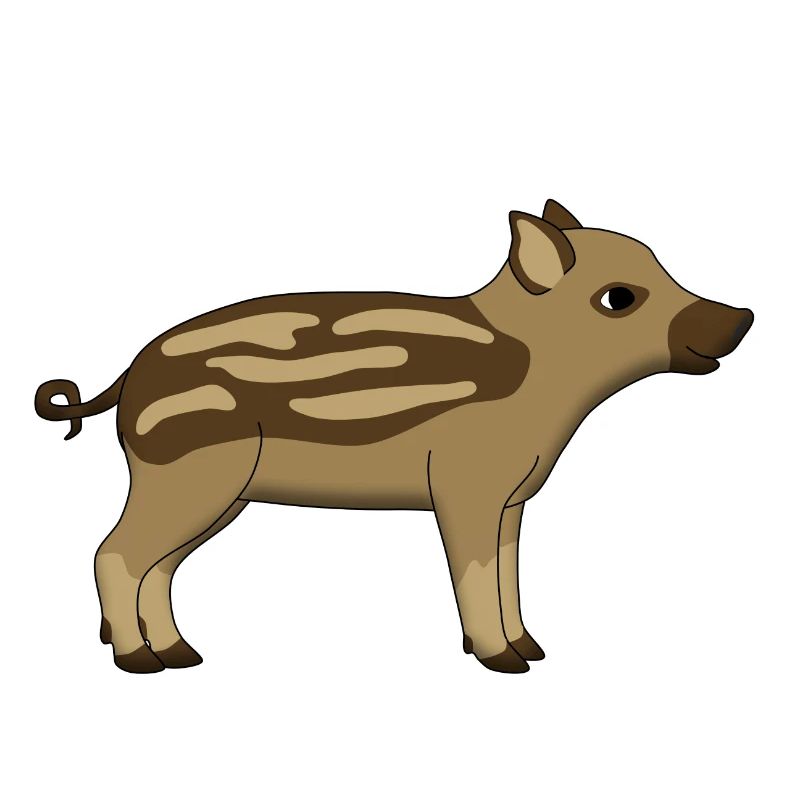 wild pig