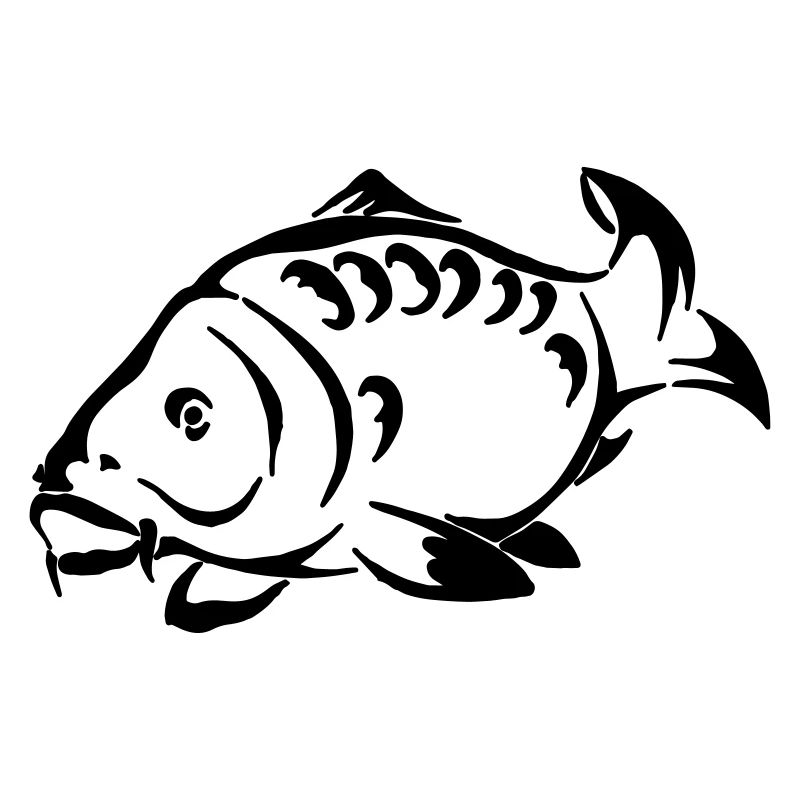 Karpfen