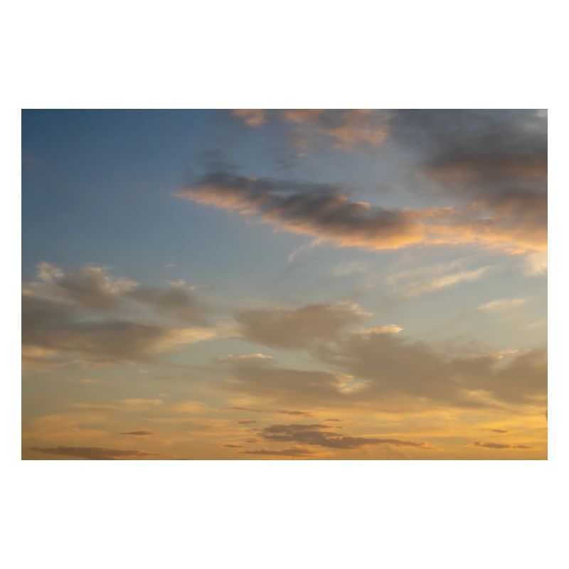 Under morning sky