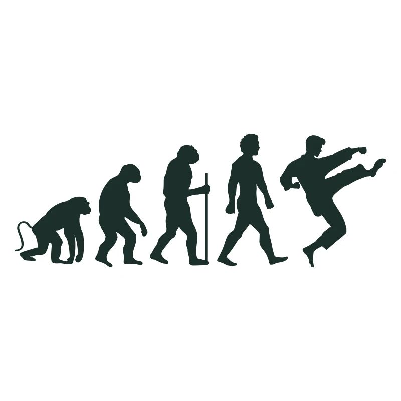 karate evolution