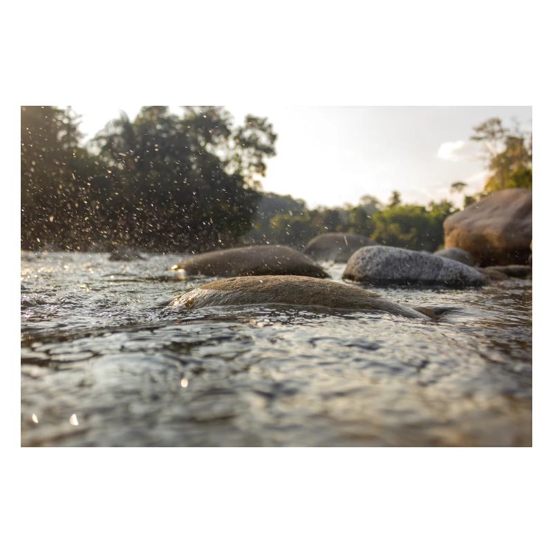 WASSER