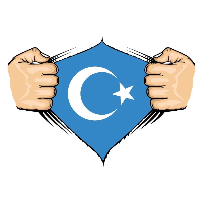 Conception du drapeau ouïghour