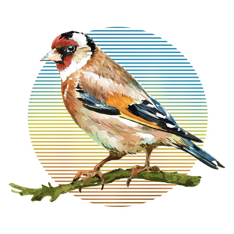 Oiseau coloré