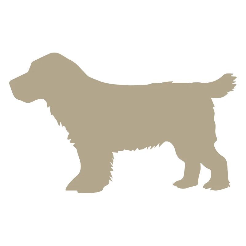Cocker Spaniel – or gris
