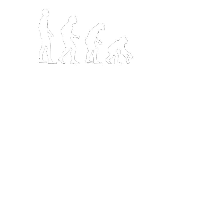 USA Evolution Backwards