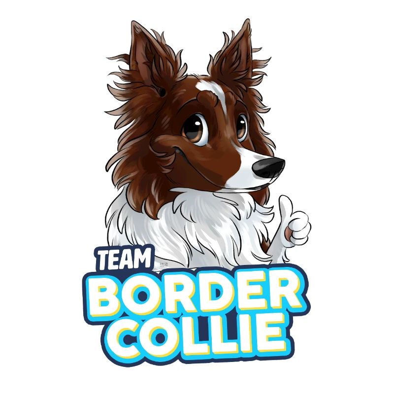 TEAM Border Collie Langhaar - Rot