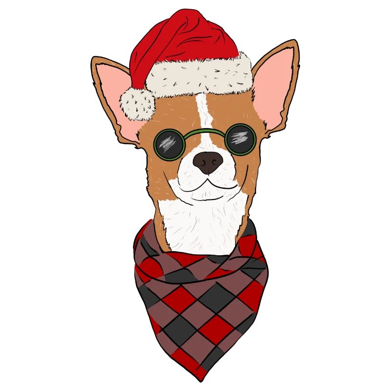 Chihuahua Pull de Noël Rouge Blanc Cheveux Courts