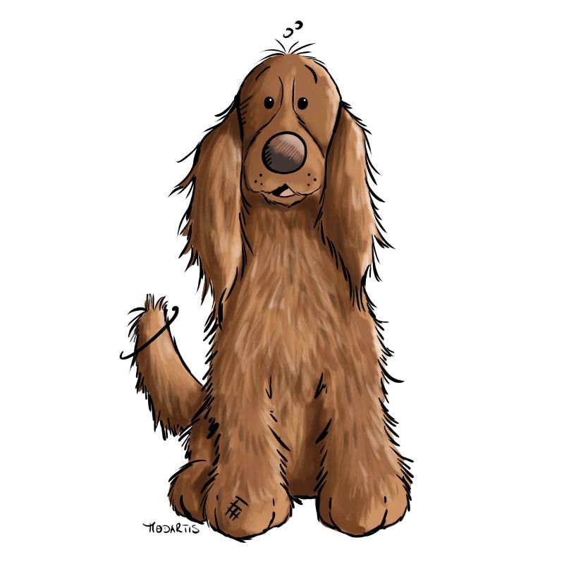 Cocker Spaniel mach Sitz