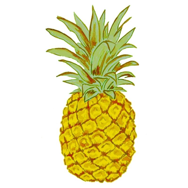 Ripe Pineapple Yellow Stylized Drawing