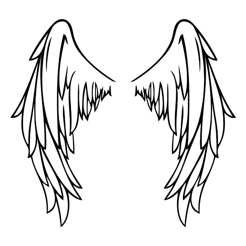 Ailes De