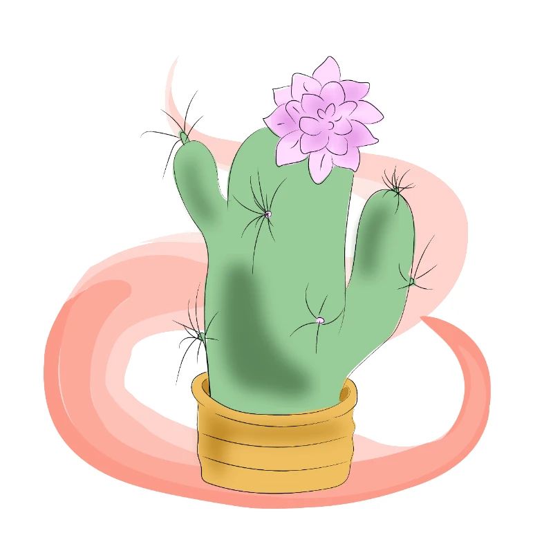 Pot de cactus avec fleur rose
