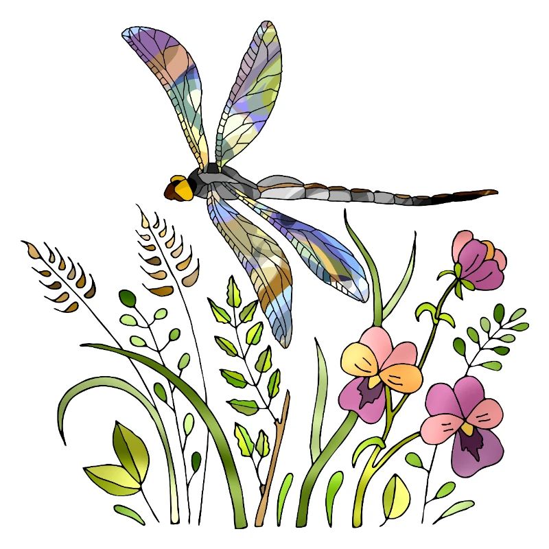 Libellule