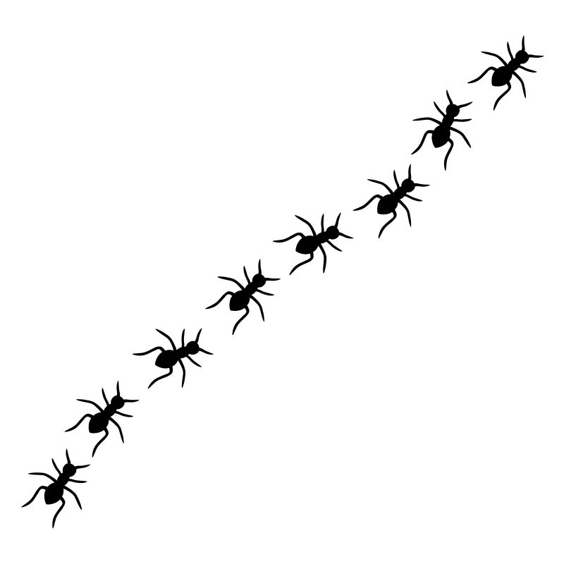 Ants