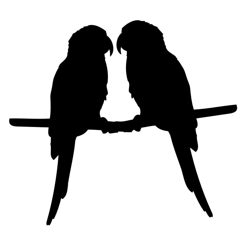 Perroquets quelques oiseaux