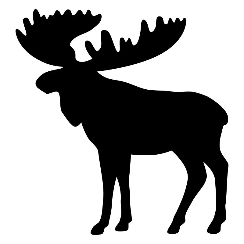 Élan