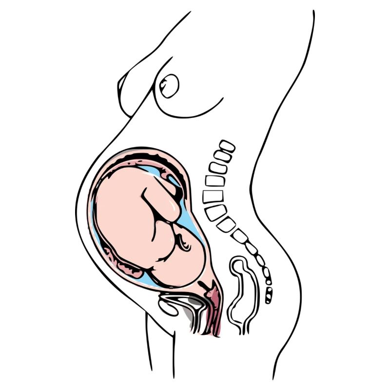 enceinte