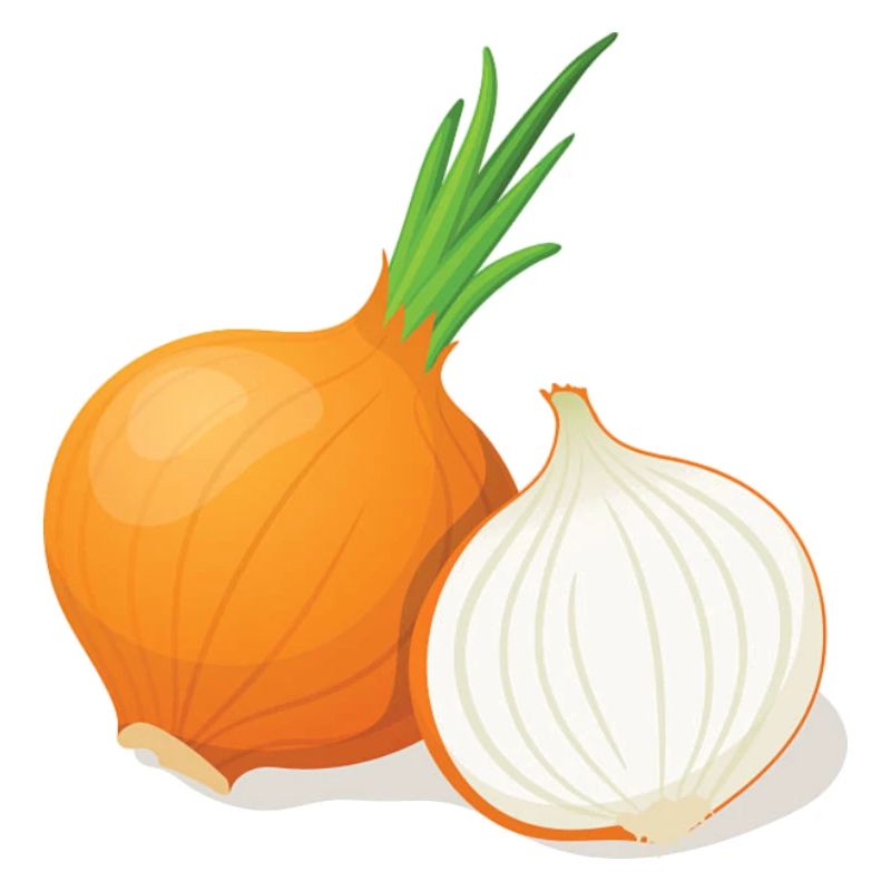 oignon
