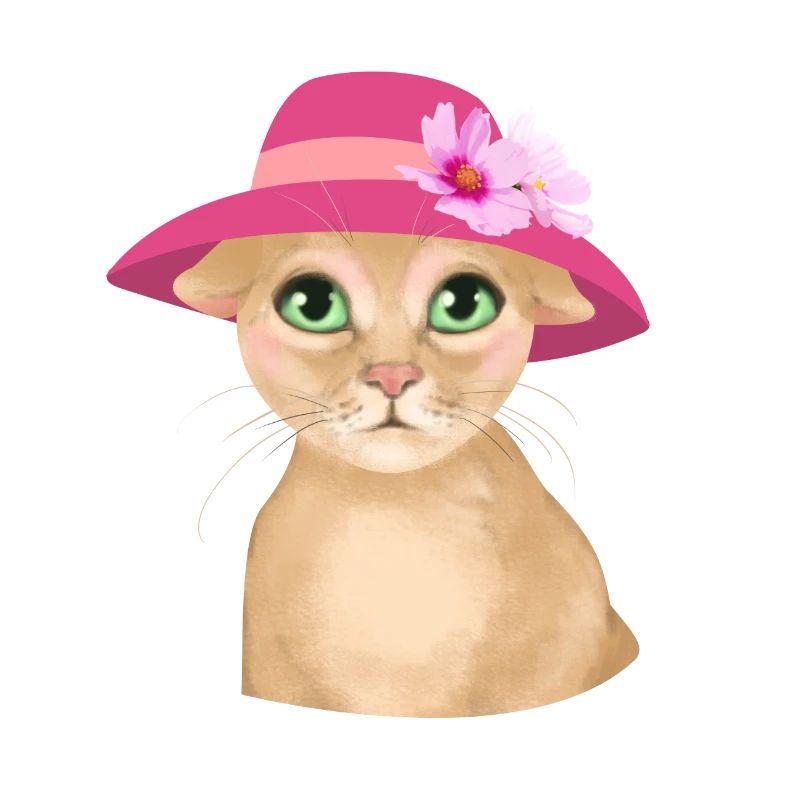 Chat avec chapeau et fleur