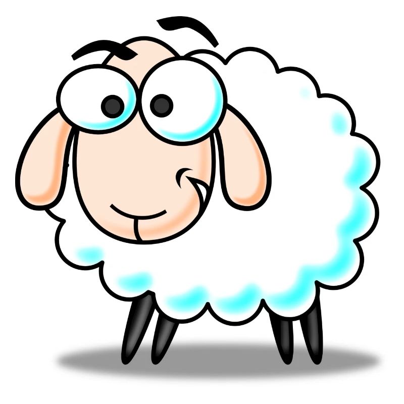 Sheep, lamb