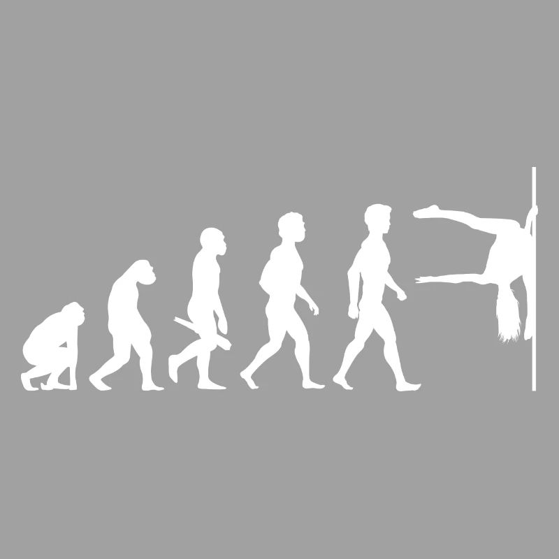 Evolution Poledance Pole Dancing Danse