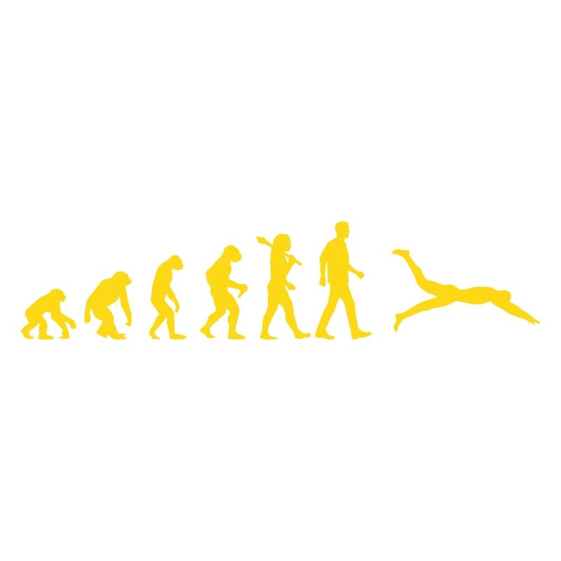 Schwimmer Evolution