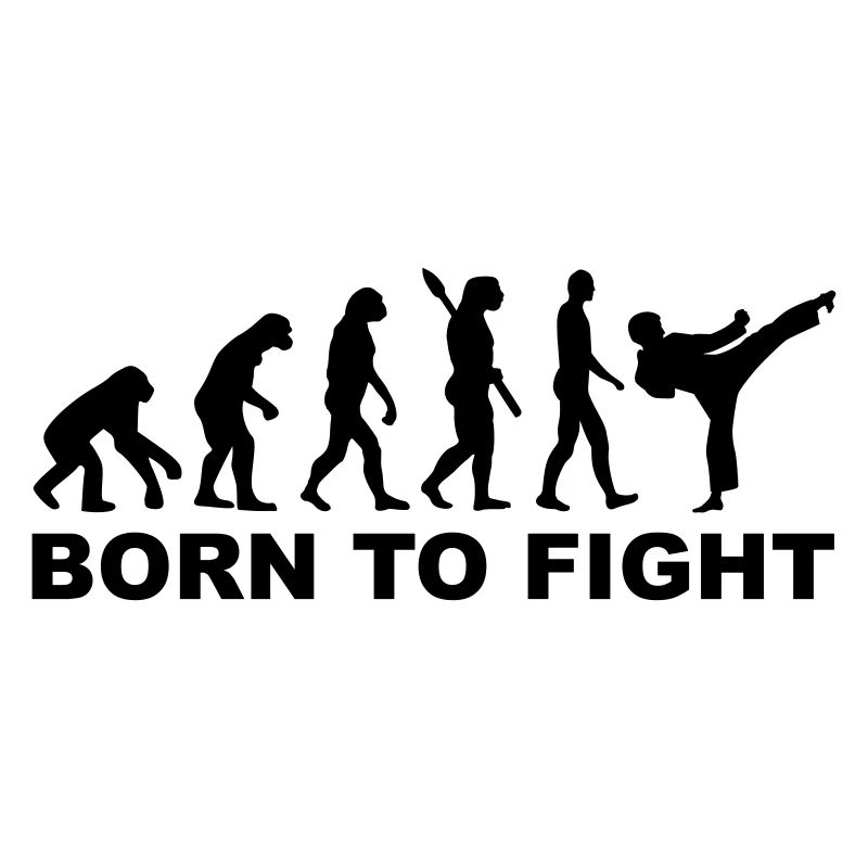Evolution Karate