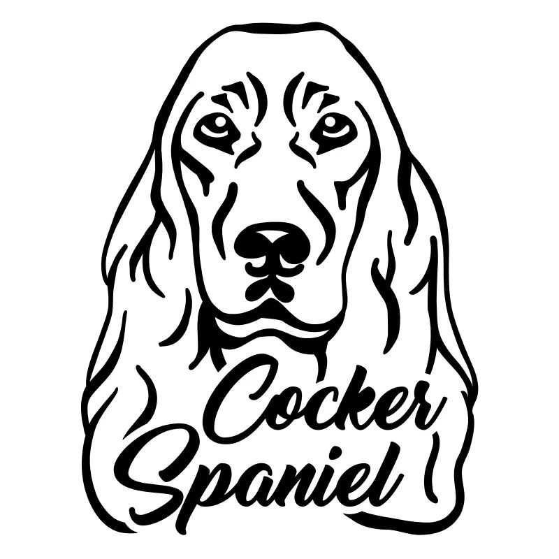 Cocker Spaniel