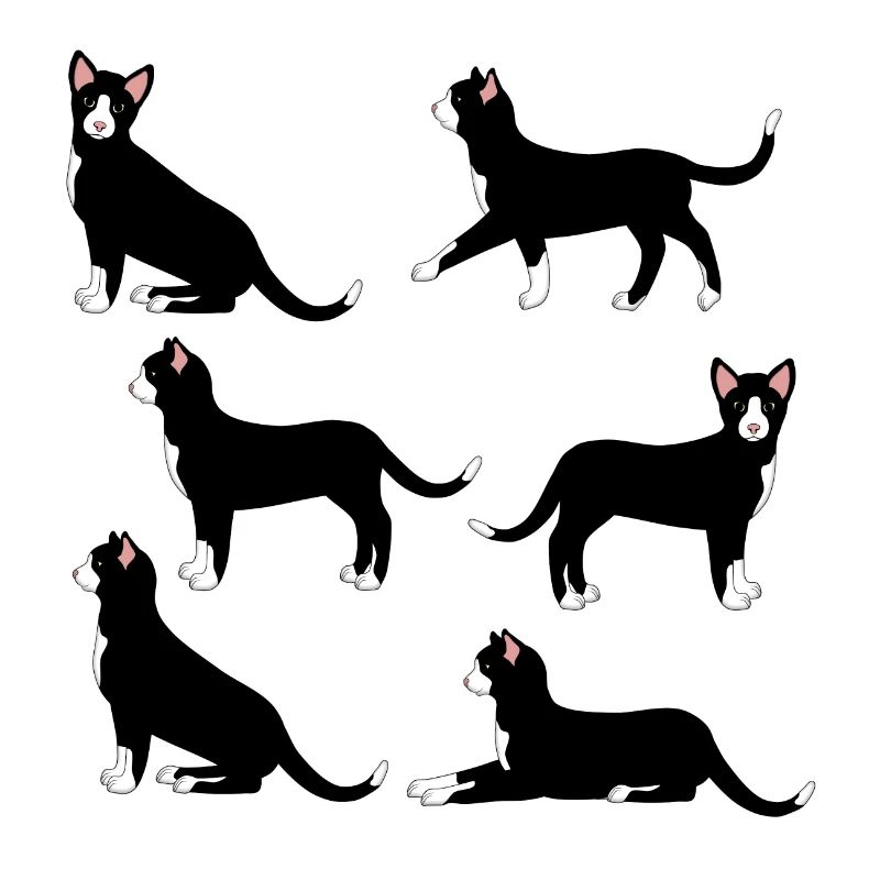 sélection de chat noir et blanc