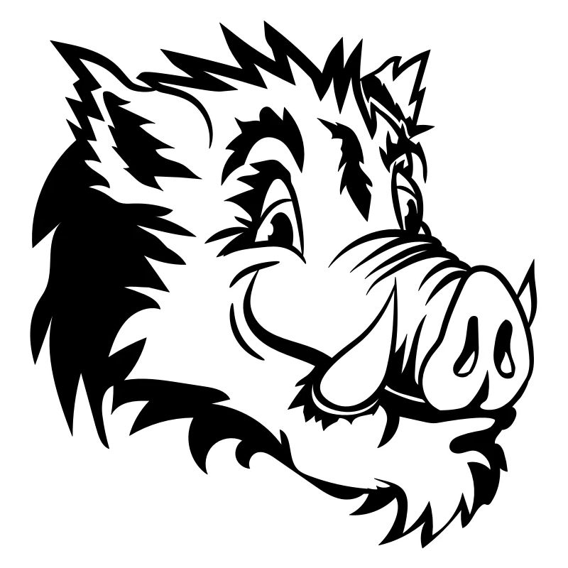Wild boar head funny
