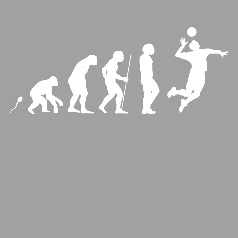 Evolution Volley-ball 3