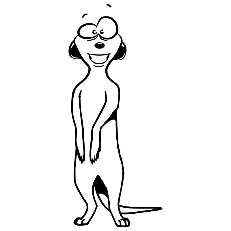 Suricates doux drôle
