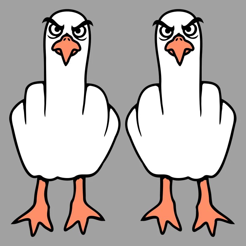 2 Möwen Mittelfinger Beleidigung Stinkefinger Team