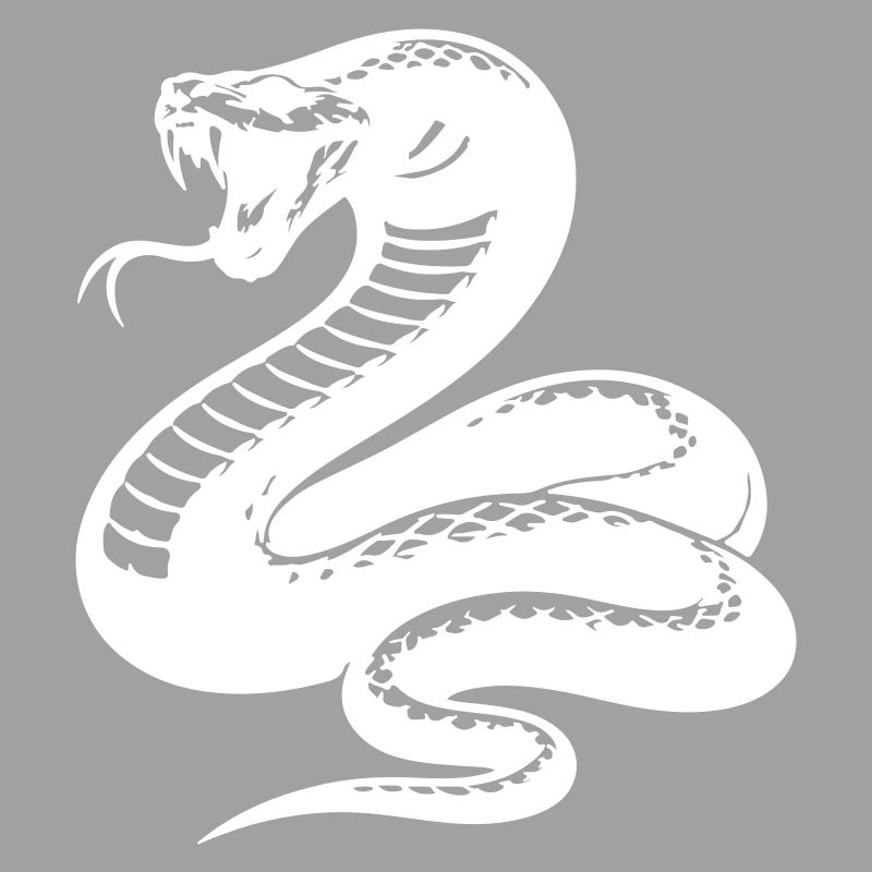 Silhouette du python serpent