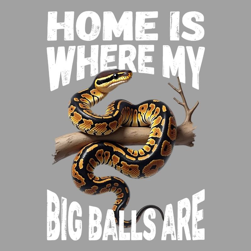 Python roi Serpents Amateurs de terrarium Python