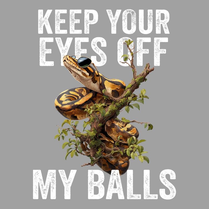 Königspython Schlangen Liebhaber Terrarium Python